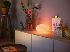 Настольная лампа Philips Hue Flourish
