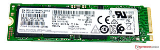 NVMe SSD