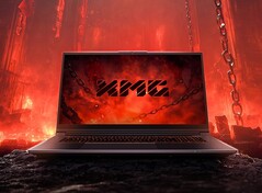 Построенный на том же шасси, что и Focus 17 на базе Intel, Apex 17 показывает, на что способна комбинация AMD + Nvidia. (Источник изображения: XMG)