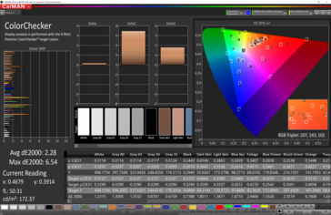 CalMAN: ColorChecker - DCI-P3