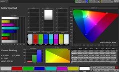 Цветовое пространство CalMAN sRGB