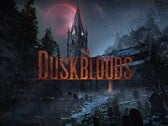 Показан баннер, посвящённый сетевому тестированию игры «The Duskbloods» для Nintendo Switch 2