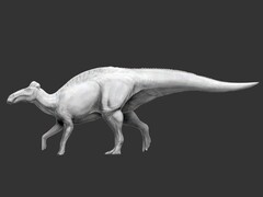 Edmontosaurus annectens - первый известный динозавр, у которого были копытоподобные ноги. (Источник изображения: Science.org)