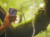 Pocket Scion создает музыку на основе электрической активности растений. (Источник изображения: Instruō)