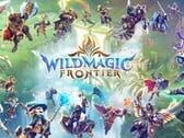 Ключевая иллюстрация к игре «Wildmagic Frontier».