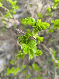 Снимок с основной камеры