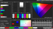 CalMAN Color Space – профиль Натуральный, стандартная цветовая температура