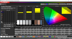 CalMAN ColorChecker (DCI-P3)