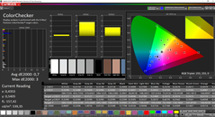 CalMAN ColorChecker (после калибровки, DCI-P3)