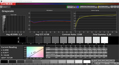 CalMAN Grayscale (DCI-P3)