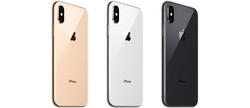 Официальные название расцветок iPhone XS: Gold, Silver и Space Gray.