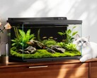Dangbei Smart Fish Tank 2S Ultra поступит в продажу в Китае 26 апреля 2026 года.