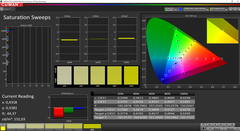 CalMAN Saturation Sweeps (DCI-P3)