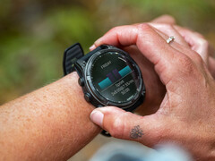 Fenix 8 - одни из нескольких смарт-часов, которые могут опробовать версию 20.07 в рамках бета-программы Garmin. (Источник изображения: Garmin)
