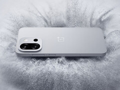 OnePlus 13T содержит довольно много ухудшений по сравнению с более крупной моделью OnePlus 13. (Источник изображения: OnePlus)