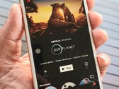 Netflix упразднила поддержку AirPlay в своих iOS-приложениях для iPhone и iPad. (Изображение: Notebookcheck)