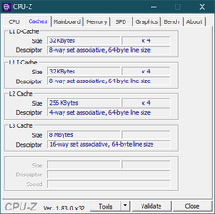 CPU-Z Caches