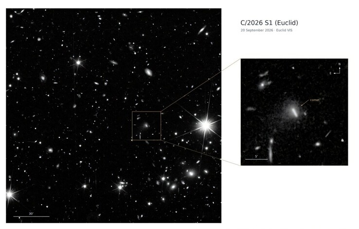 Изображение кометы C/2026 S1 (Euclid), полученное Euclid.