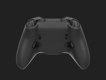 Задняя часть, показывающая задние лепестки