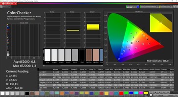 CalMAN - ColorChecker (ориентируемся на спектр DCI-P3)