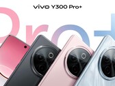 Модель "Y300 Pro+". (Источник изображения: Sandwich Sister через Weibo)