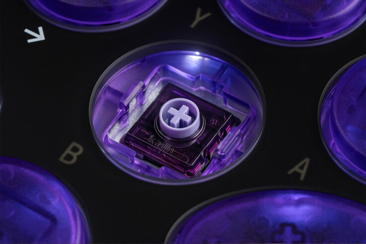 (Источник изображения: 8BitDo)