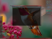 Besgnulinux 4-0 на базе Debian теперь доступен