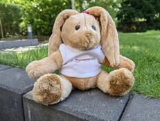 Снимок в исходном качестве