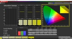 CalMAN saturation (Display P3, DCI-P3)