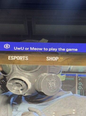 Хакеры пишут пользовательские сообщения в Rainbow Six Siege. (Источник изображения: Pirat_Nation)