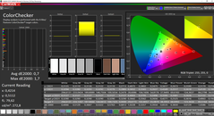 CalMAN ColorChecker (после калибровки)