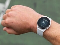 Смарт-часы Garmin Venu 3 (на фото) и vivoactive 5 получили бета-версию 15.00. (Источник изображения: Garmin)