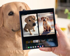 Стабильные сборки One UI 8 в настоящее время доступны только на последних раскладных устройствах Samsung, Galaxy Z Fold7 на фото. (Источник изображения: Samsung)