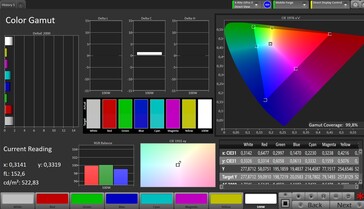 Цветовое пространство CalMAN sRGB