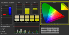 CalMAN - Color saturation (calibrated)