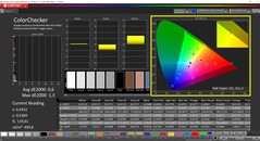 CalMAN ColorChecker (DCI-P3)