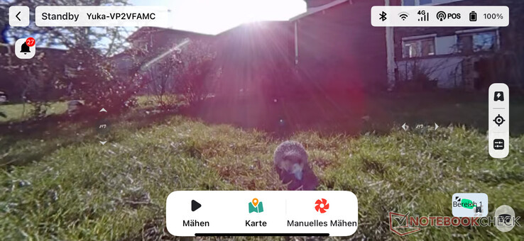 Живое видео в приложении Mammotion