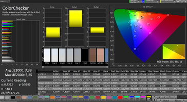 CalMAN: Color Accuracy – sRGB