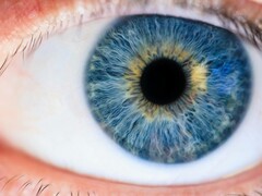 Используя стимуляцию М-конуса лазерным светом, исследователям удалось сделать видимым ранее неизвестный цвет &quot;Оло&quot;. (Источник изображения: Pexels/ Michael Morse)