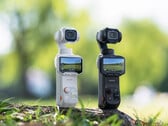 В Luna Pro установлен тот же сенсор, что и в основной камере модели Ultra. На снимке: фотография, демонстрирующая два варианта цветового исполнения камеры с подвесом.