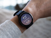 Компания Garmin пока не сообщила, когда обновления v11 достигнут стабильного статуса. (Источник изображения: Garmin)