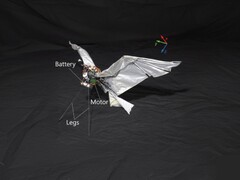 Изображение RoboFalcon2.0 (Источник изображения: исследователи; отредактировано)