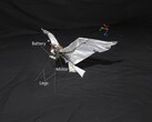 Изображение RoboFalcon2.0 (Источник изображения: исследователи; отредактировано)