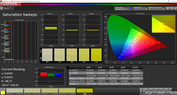 Saturation Sweeps (Профиль: Основной, цветовое пространство: sRGB)Basic, target color range: sRGB)