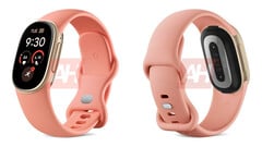 Google Fitbit Edge