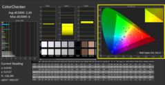 CalMAN Color Checker