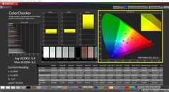 CalMAN ColorCheker (DCI-P3)