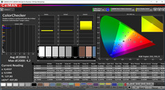 CalMAN ColorChecker (после калибровки)