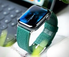 Ожидается, что часы « Apple » не получат очередного значительного обновления дизайна до следующего года.