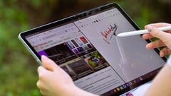 Samsung Galaxy Tab S10 FE Plus в обзоре. (Источник изображения: Маркус Хербрих)